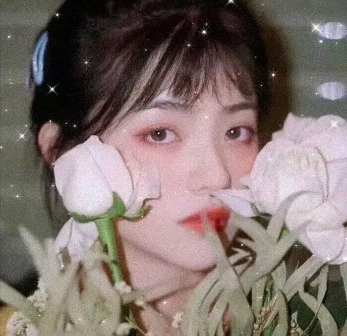 艺海生涯原是梦